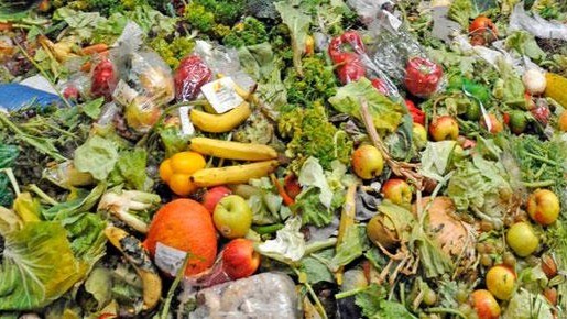 Post-Harvest Handling to Reduce Losses